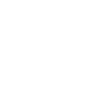 Integrity icon