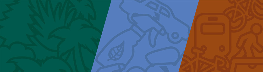 ccad-individual-pledge-banner-1100a