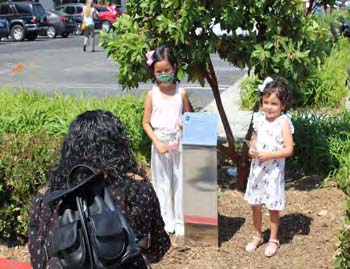 COVID Tree Children COVID Tree Children