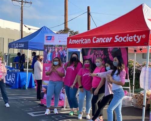Pink and Go Seek Booths Pink and Go Seek Booths